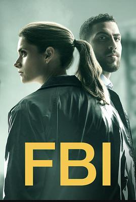 聯邦調查局第二季(全集)