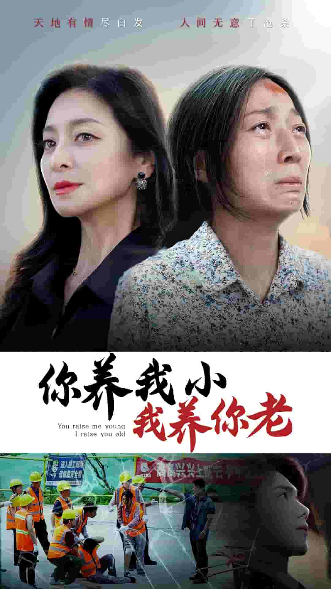 你養我小我養你老(全集)