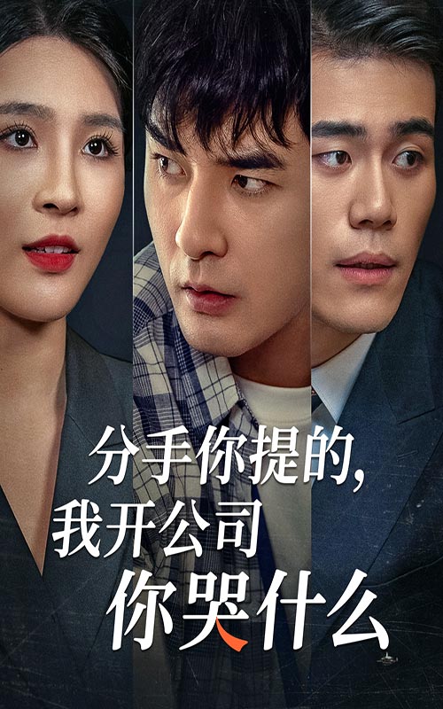分手你提的，我開公司你哭什么(全集)