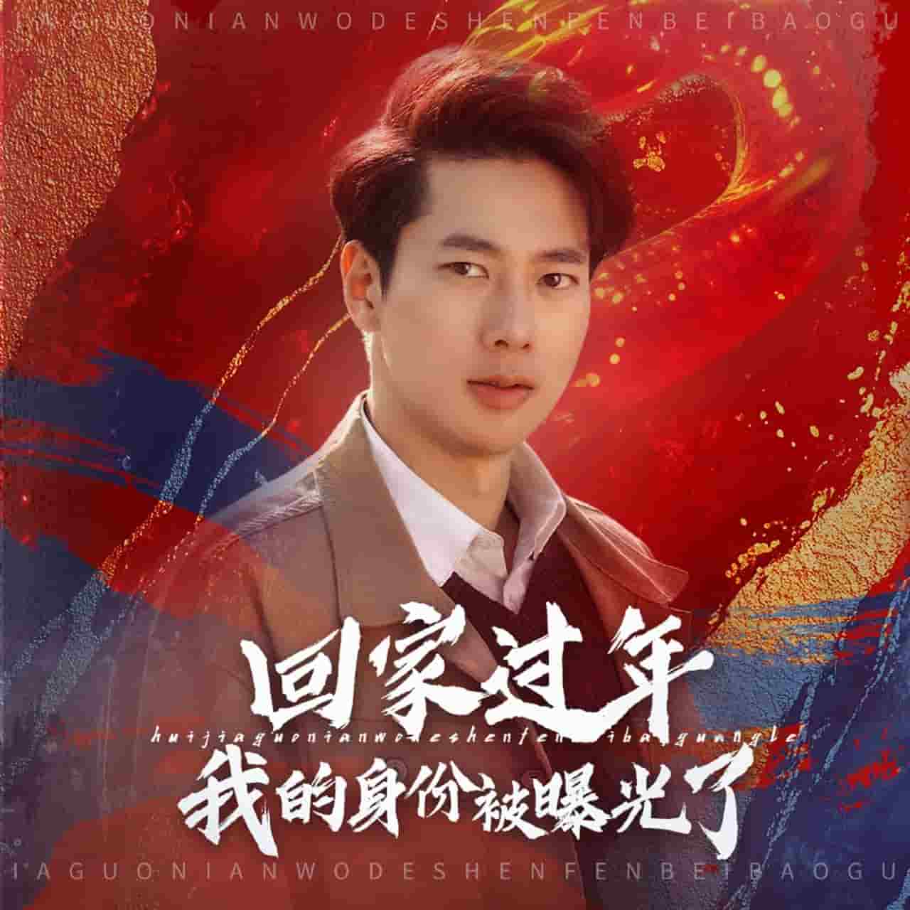 回家過(guò)年我的身份被曝光了(全集)