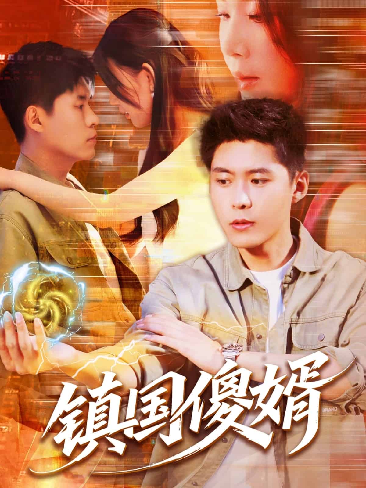 鎮(zhèn)國傻婿(全集)