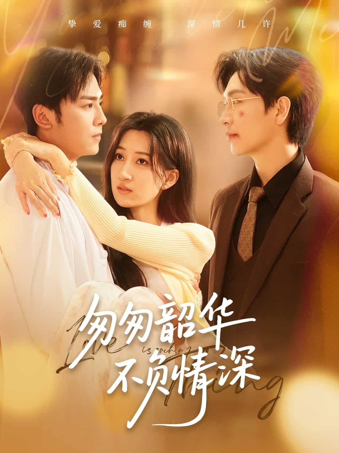 匆匆韶華不負情深(全集)