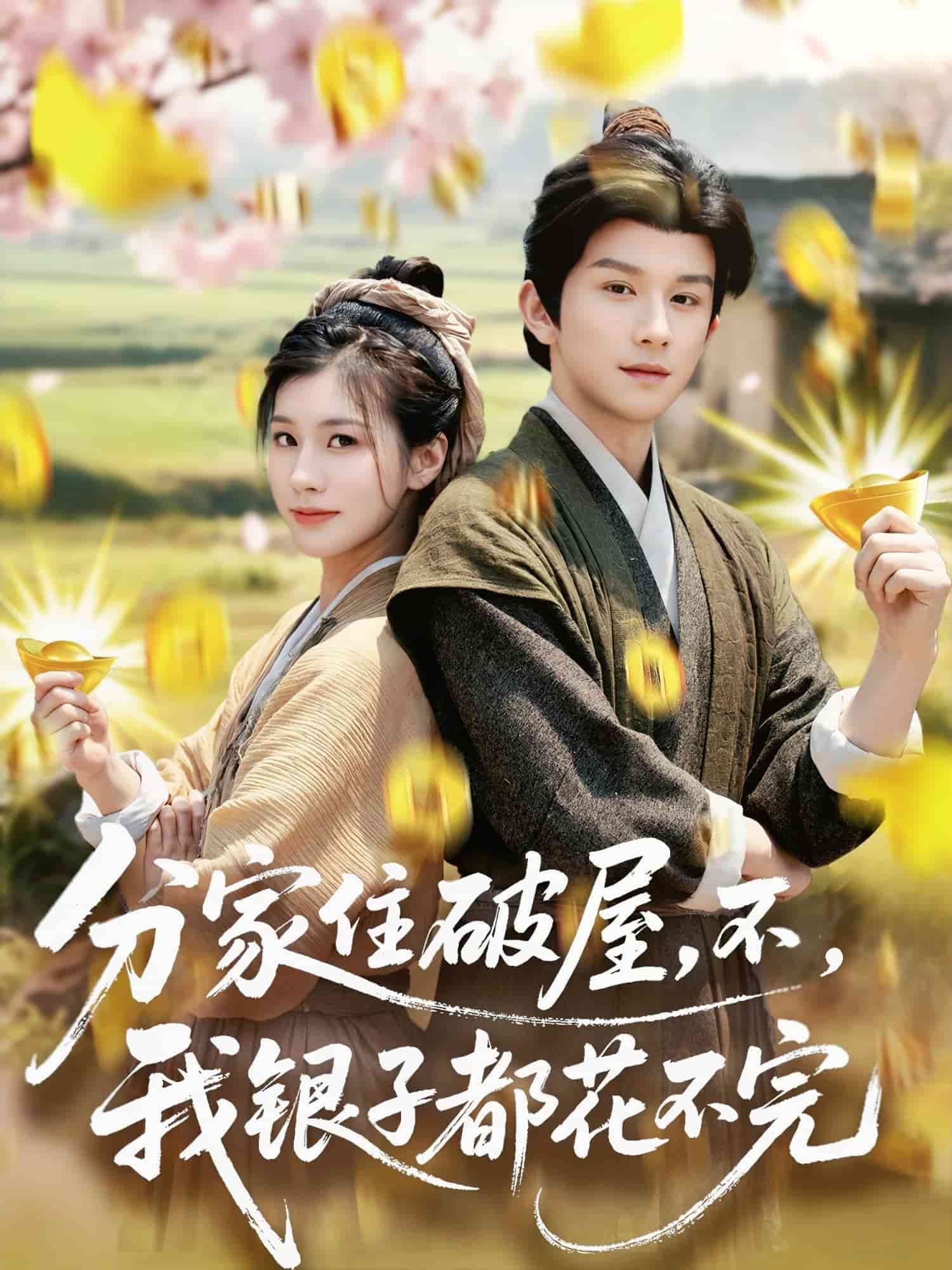 分家住破屋，不，我銀子都花不完(全集)