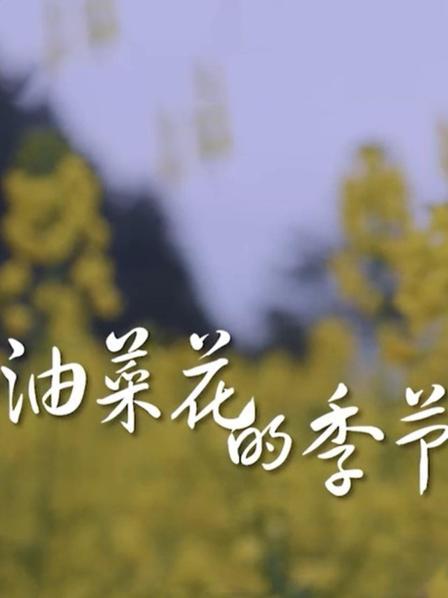油菜花開的季節(全集)