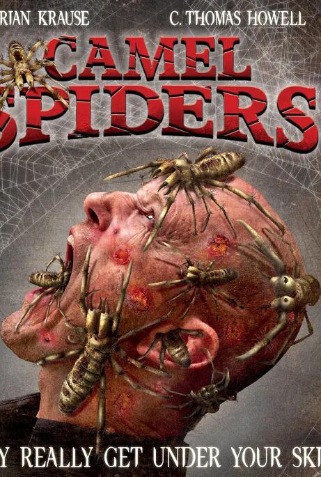 駱駝蜘蛛(全集)